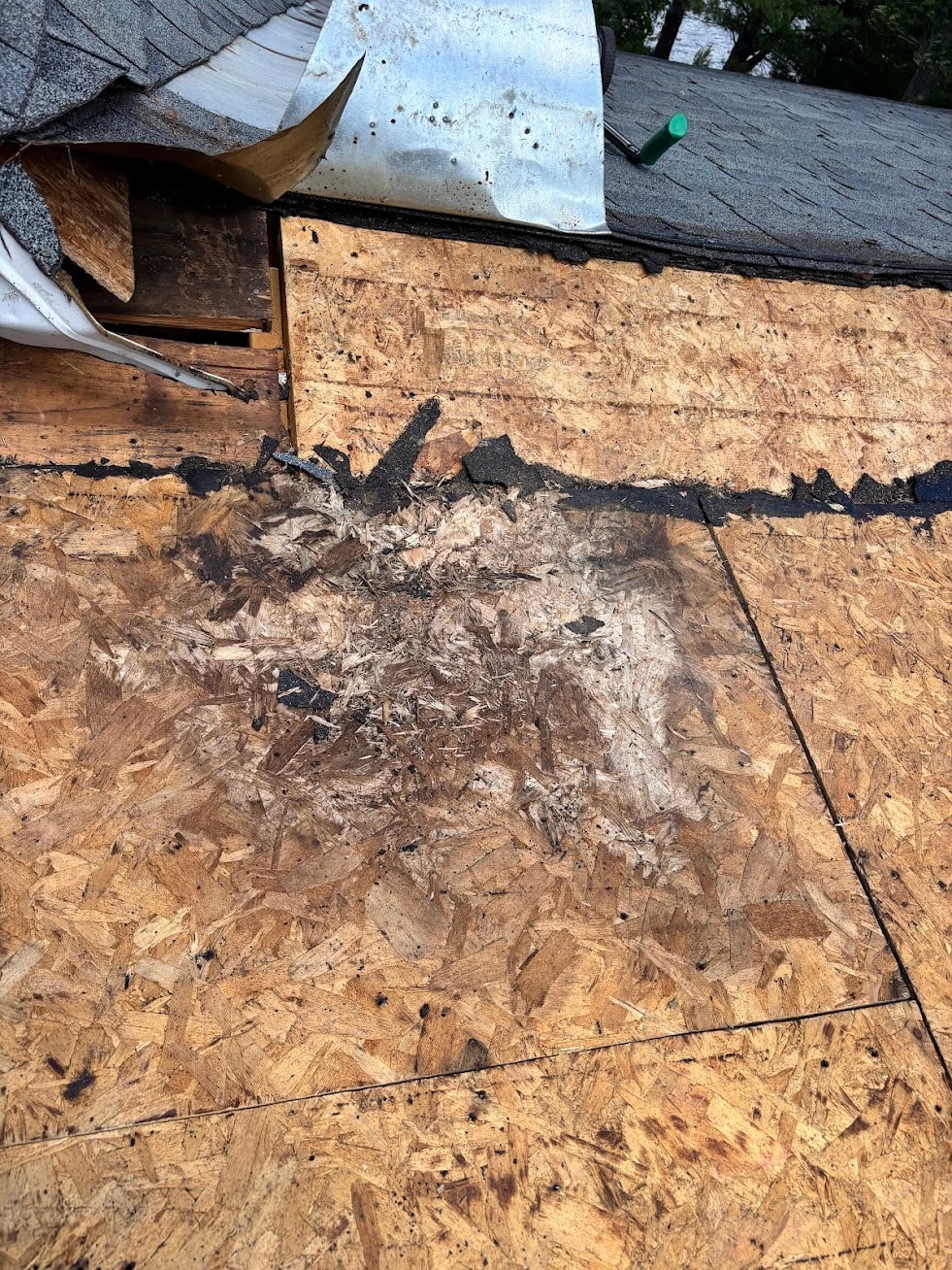 Cedar Shingles
